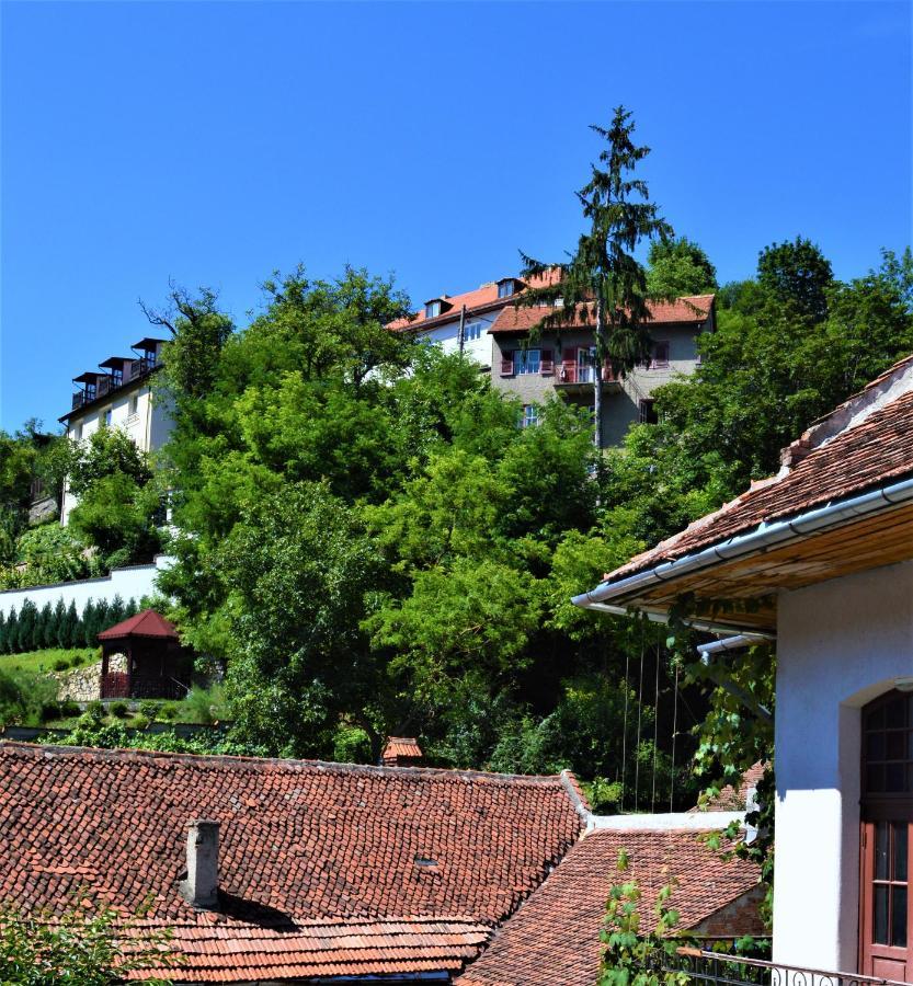 Zen House Apartment Brasov Exterior photo