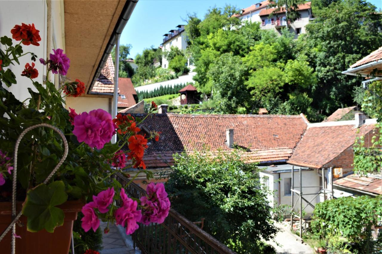 Zen House Apartment Brasov Exterior photo